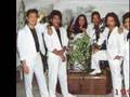 The Exotics Band