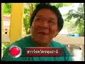 Great Palakid Collector Great Palakid Collector