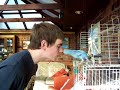 belly-dance-with-snakes-with-serpentessa.html