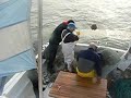 PESCA RADICAL EN ARGENTINA