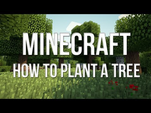 how to replant trees in minecraft