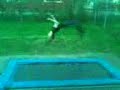 Backflip (iceland)
