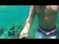 Boracay Island snorkeling - YouTube