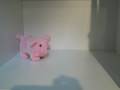 videos de Pig