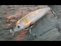 spinning pesca presentazione planetspin artificiali popper