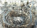 Anselm Kiefer