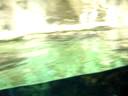 PINGUINI ALL ACQUARIO