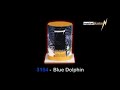 Blue Dolphin