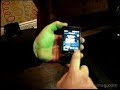 First look from London at the HTC Diamond