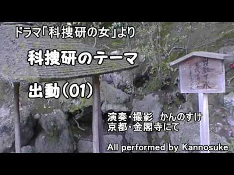 動画