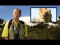 JanNovia Tips #0000 Jan van der Meer's novelties