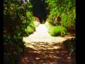 videos de Planting Fields & Jars of Clay 