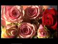 Björn Casapietra and Uwe Hassbecker - A PETAL OF A ROSE