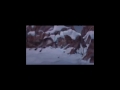 alpha and omega-strawberry avalanche