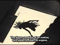 1114-princess-mononoke-backstagewenglishsub.html