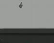 Penguin Motion Study