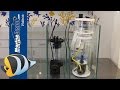 Build A Sump For Saltwater Aquarium