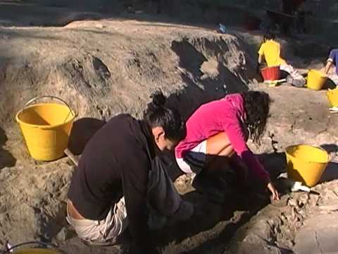 guarda il video