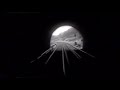 London to Brighton in 4 minutes BBC interlude London to Brighton in 4 minutes BBC interlude