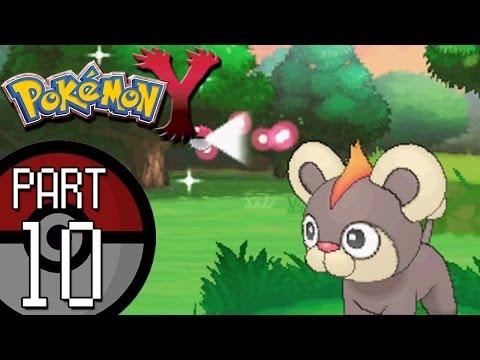 how to turn on xp share pokemon y