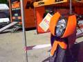 videos de gaillac toulza