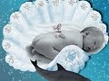 montage b�b�s
