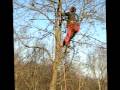 videos de Vrouw vlucht in boom