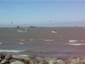Memorial Day Weekend Wind Surfing