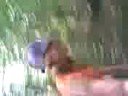 ter�ny