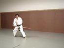 Damo Gun - Bodhidharma short staff - 1