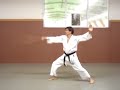 Damo Gun - Bodhidharma short staff - 1 Damo Gun - Bodhidharma short staff - 1