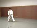 Damo Gun - Bodhidharma short staff - 1