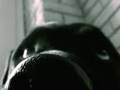 videos de Sixteenarmedjack - Mash Up The Place