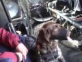 DRG Tavistock stage 1 helicopter training