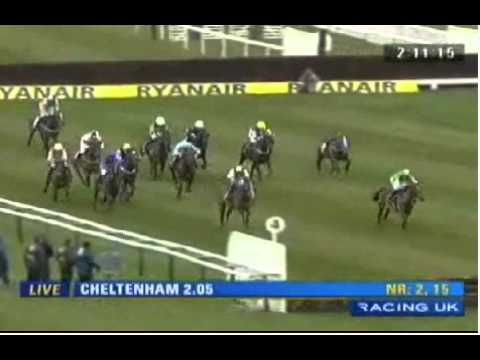 cheltenham festival