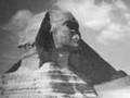 1940`s Egypt, Farouk, Farida, Cairo, and the Pyramids