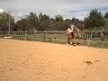 Reprise Galop 7 Laureen Reprise Galop 7 Laureen