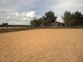 Reprise Galop 7 Laureen