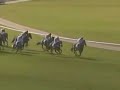King Harald wins at the Cheltenham Festival