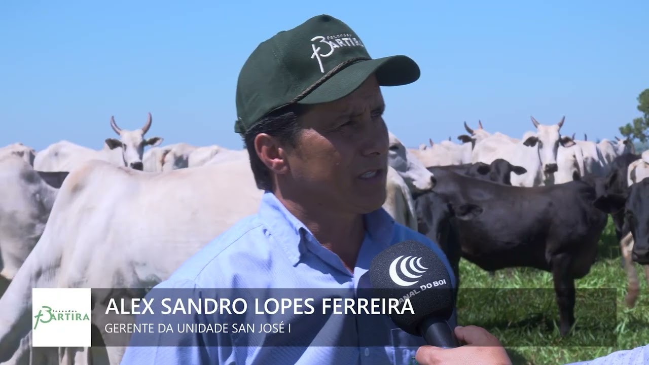 25º Circuito de Leilões Fazenda Bartira hoje às 20h no Canal do Boi