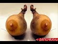 Frutta e verdura AMBIGUA