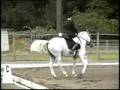 Piloto Do Top at Lake Oswego, Oregon Test 2 - 4