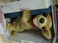 Juckelnder Hund