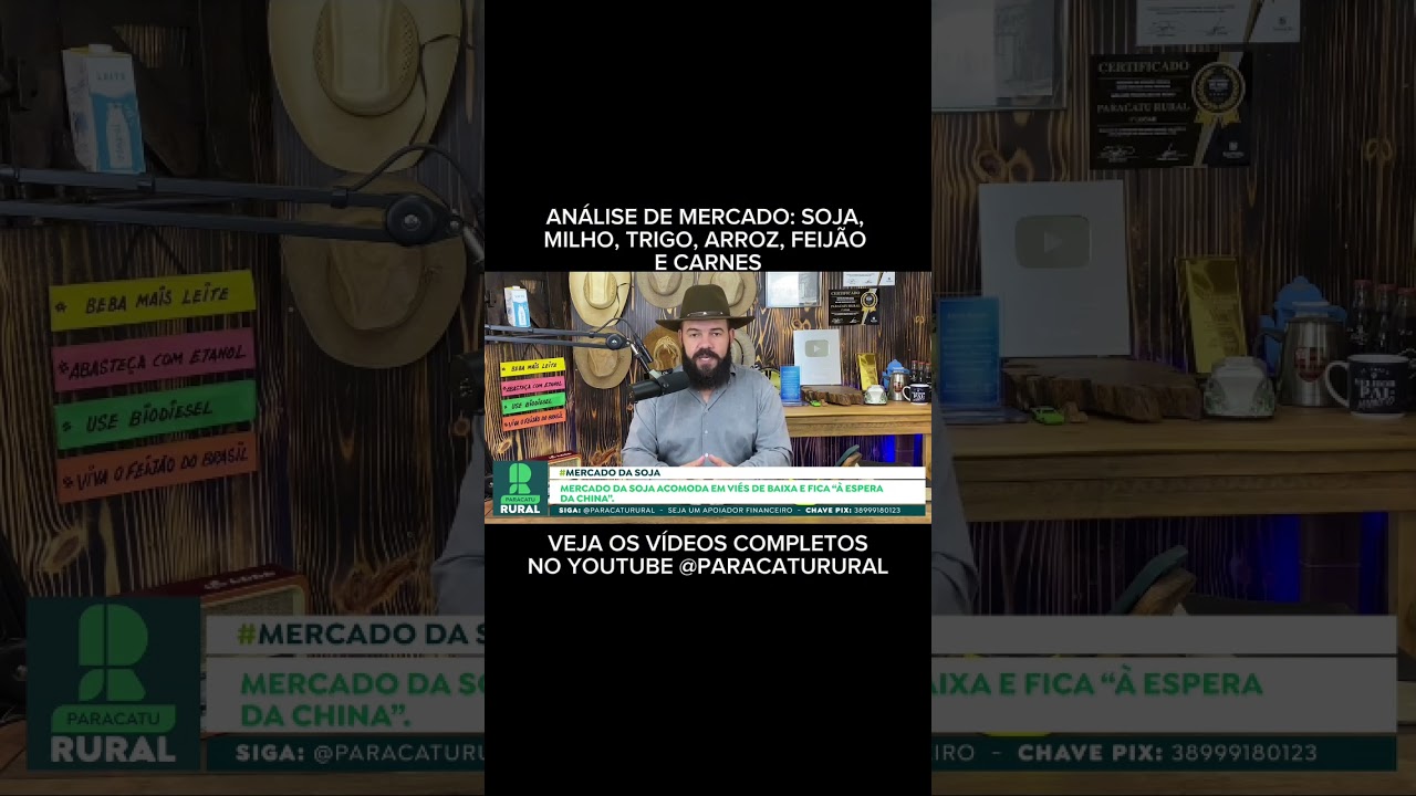 11 de dezembro de 2024