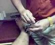 videos de Mi piiieeerrrnaaaa