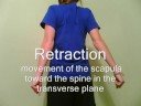 Biomechanics- Jenna Tomlin Biomechanics- Jenna Tomlin