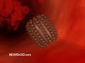 Nanobots Flowing Through a Blood Vessel