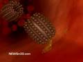 Nanobots Flowing Through a Blood Vessel