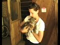 baby jaguar grunting