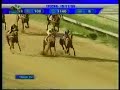 Gran Premio Asocrinca 2006 - Version hembras